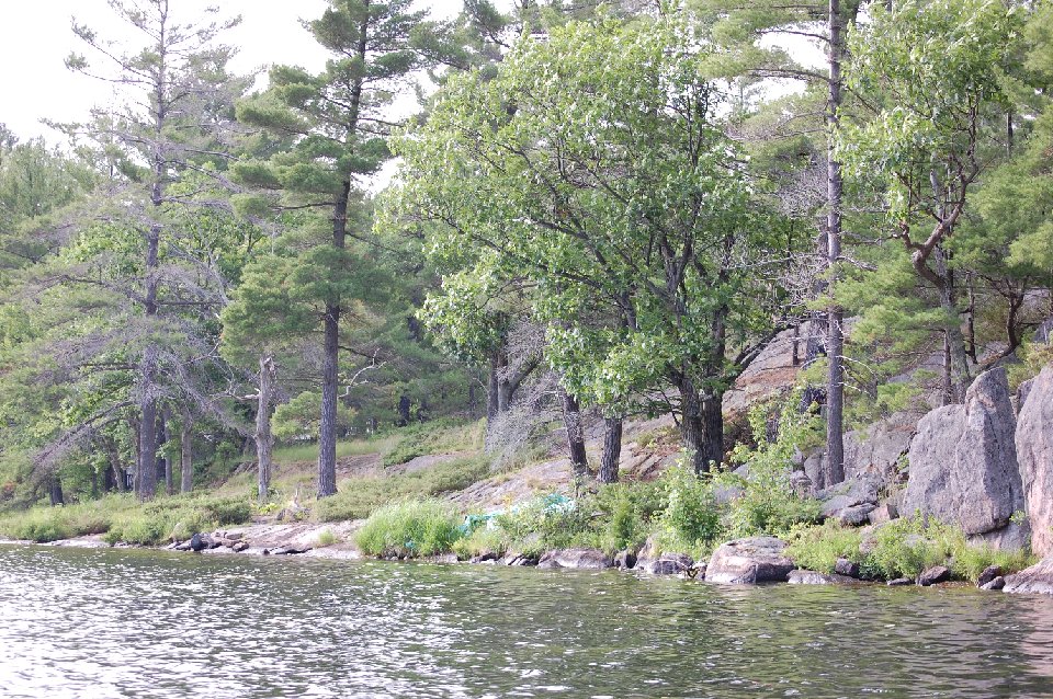 SUMMER2010- (97)